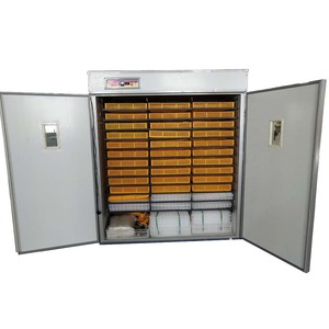 Éclosion de pigeon <span class=keywords><strong>paon</strong></span> 6000 oeufs de poule incubateur d'oeufs de volaille domestique HJ-I6336 - Product Image 1