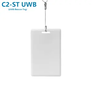 Low price Programmable IoT UWB Distance Motion Proximity sensor Card/Tag, Indoor location, Asset tracing Ble 4/5