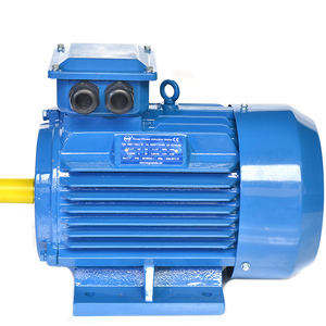 Series 220V 30KW Three Phase Asynchronous Motor with High Quality Cast <b>Iron</b> Housing IP54-IP66 Insulation - Product Image 4