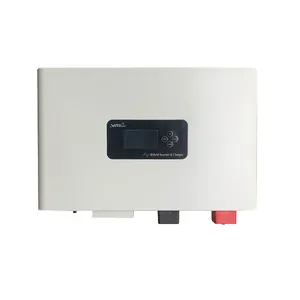 Vmaxpower 2024 hibrid invertör için güneş paneli sistemi 500Watt 1KW kapalı ızgara saf sinüs DC AC Inverter için MPPT invertör ev