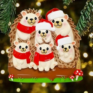 Adorno Navideño Personalizado de Resina con Forma de Erizo Ovalado Hecho a Mano, <span class=keywords><strong>Precio</strong></span> de Fábrica al por Mayor, Decoración Colgante con Nombre Personalizado - Product Image 5