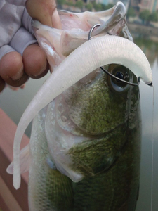 Esfishing Soft Plastic Bass Fishing Fishing Tackle ESFISHING 125mm 7.8g Drive Shad Custom Soft Plastic Baits Cheap Bass Fishing Tackle Shad Swimbait