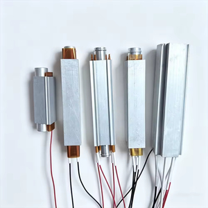 Élément chauffant PTC de taille personnalisée, résistance chauffante PTC de haute qualité et durable <span class=keywords><strong>pour</strong></span> la désinfection par nettoyage à la vapeur de <span class=keywords><strong>lave</strong></span>-<span class=keywords><strong>vaisselle</strong></span> - Product Image 4