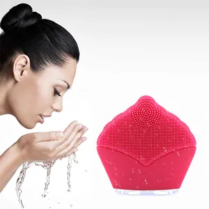 フェイスクレンザー電気洗顔ブラシ新製品のアイデア2023美容パーソナルケアシリコンUsbディープクレンジングハンドヘルド