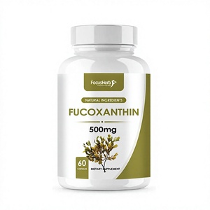 Suplemento Alimenticio para Adultos de Marca Privada FocusHerb, Extracto de Fucoidan 500mg, Cápsulas Antioxidantes Veganas Naturales - Product Image 1