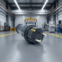 Prise électrique industrielle en cuivre et caoutchouc, norme européenne, IP44, 250V, 16A, résistante à la poussière, au froid et aux chutes, pour extérieur, extension Schuko