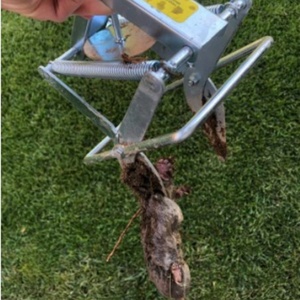 Trampa para Topos y Ratas Tipo Tijera, Reutilizable, de Acero, Fácil de Instalar, con Éxito de Caza Rápido y Limpio, y Potente Mecanismo de Empuje - Product Image 2