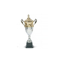 Trophée personnalisé avec logo imprimé UV, en métal, or, bronze, fer, laiton, modèle sportif, artisanat populaire, cadeaux moulés