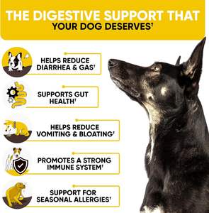 Suppléments nutritionnels probiotiques pour animaux de compagnie avec probiotiques et enzymes pour soutenir la digestion dans les produits à mâcher mous OEM/ODM pour chiens - Product Image 2