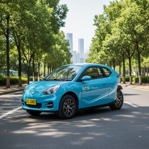 <span class=keywords><strong>Mini</strong></span> <span class=keywords><strong>Triciclo</strong></span> Eléctrico Cerrado con Motor de 5000W para Adultos, <span class=keywords><strong>Triciclo</strong></span> Invertido de Tres Ruedas, Carrocería Cerrada, Frenos de Disco Delanteros, 50-70km/h - Product Image 2