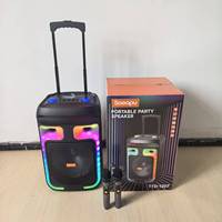 En gros, grande enceinte trolley d'extérieur sans fil de 12 pouces PLUS pour karaoké, batterie au lithium 30-50W OEM