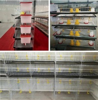 Équipement d'Élevage Avicole Automatique: Cage à Poulets de Chair pour l'Élevage
