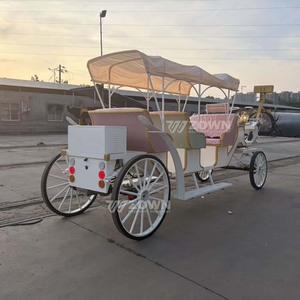 Voiture électrique de tourisme moderne avec auvent amovible, fonctionnement fluide pour les circuits urbains, les parcs à thème et les projets de tourisme culturel - Product Image 6