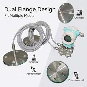 Doppelflansch-Differenzdruck-Füllstandsensor für Flüssigkeiten/Gase IP66/67 Zertifiziert 4-20mA/HART Ausgang <span class=keywords><strong>DP</strong></span>-Füllstandsensor 1 Jahr Garantie - Product Image 3