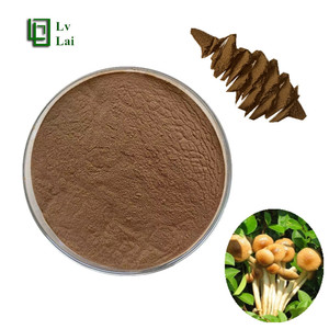 Polvo Concentrado <span class=keywords><strong>de</strong></span> Hongo Poplar Soluble Orgánico Natural <span class=keywords><strong>de</strong></span> Alta Calidad, Extracto <span class=keywords><strong>de</strong></span> Hongo Poplar - Product Image 1