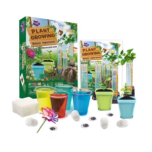 Kit de peinture de plantes et de fleurs, jeu de jardin préscolaire, jouet artisanal pour enfants, meilleur cadeau pour enfants