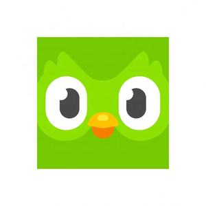 Cuenta Premium Duolingo Pro 1 Año, Activa Tu Propia Cuenta, Aplicable Globalmente en Todo el Mundo - Product Image 3