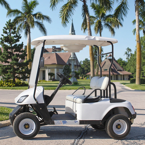 High Quality 4-Wheel Electric Mini <strong>Golf</strong> Cart with 48v Battery <strong>Single</strong> <strong>Seat</strong> EEC Certified New Selling <strong>Buggy</strong> - Product Image 1