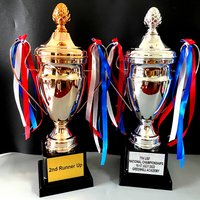 Médailles sportives en métal personnalisées en stock, trophées de football, de basketball, coupes de récompense, trophées de musculation polies