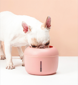 <span class=keywords><strong>Fontaine</strong></span> d'eau automatique pour animaux de compagnie-Conception durable pour animaux de compagnie Fournitures professionnelles pour animaux de compagnie pour chats et chiens Marque d'agneau - Product Image 5