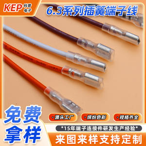 ขั้วต่อสายไฟฟ้าสำหรับงานวิทยาศาสตร์ยอดนิยม ขนาด 6.3 มม. แบบถอดเร็ว ชุบทองแดงดีบุก ความยาว 250 มม. สำหรับแบตเตอรี่รถยนต์ - Product Image 3