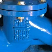 Valvola a globo in ghisa sferoidale certificata EAC CE ISO BS5152 PN16 J41T-16Q con sede in rame flangiata, personalizzabile OEM, 2 anni di garanzia, DN50-DN300