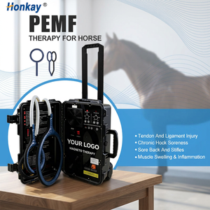 Appareil de thérapie PEMF personnalisable et pratique, améliore la circulation, favorise un meilleur sommeil, utilisation équine, appareil PEMF pour usage domestique - Product Image 1