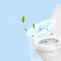 FF6182 Blocs désodorisants et nettoyants pour toilettes à suspendre, parfum longue durée, vente en gros