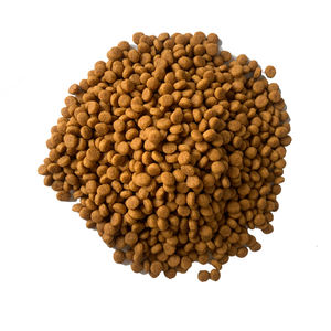 Oem odm מיני זן בינוני גדול גור למבוגרים - Product Image 5