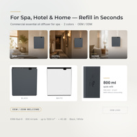 Diffuseur de parfum professionnel pour hall d'hôtel, sans fil, électrique, biphasique, personnalisable avec logo OEM, marque privée