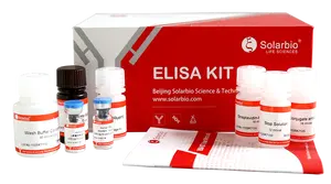 Stool Genomic DNA Extraction Kit For Scientific Research