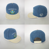 Casquettes Hip Hop en Gros – Packs Multiples Disponibles – Casquettes Snapback Ajustables, Respirantes et Tendance à Visière Plate