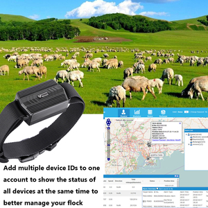 Localisateur <span class=keywords><strong>GPS</strong></span> anti-perte étanche Android iOS Mini <span class=keywords><strong>GPS</strong></span> GSM pour animaux de compagnie et clés - Product Image 6