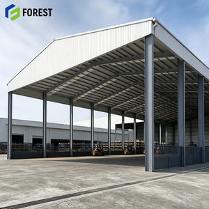 Estructura de Acero de Sección H de Gran Envergadura de Grado Industrial, Almacén Abierto, Terminal de Distribución Logística de Gran Altura - Product Image 1