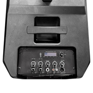 Diffusore a Colonna Attivo Array Classe D da 300W, Sistema di Amplificazione Audio Professionale in Plastica per Esterni - Product Image 3