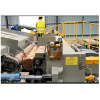 BSY Machine automatique d'écorçage du bois pour la fabrication de contreplaqué dans l'industrie du bois de Chine