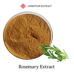 Extracto de Romero, Ácido Rosmarínico 10%~98%, Polvo Natural Antioxidante y Calmante para la Piel, Personalizable a Granel, Rosmarinus Officinalis - Product Image 1