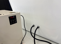 Bain froid ovale moderne intérieur/extérieur avec filtre de refroidissement à eau pour bain à remous, idéal pour la récupération physique des athlètes adultes