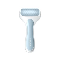 Appareil de massage facial à rouleaux de glace silencieux PE, modèle R1 transfrontalier de Shenzhen, pour compresses froides