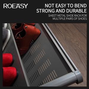 ROEASY Modern <strong>Design</strong> 2 Tier Pull Out Sliding Wardrobe Accessories Shoe Rack for <strong>Closet</strong> - Product Image 4