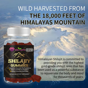 Gummies de Shilajit Énergie Cheveux Peau Ongles 60 Comprimés Crinière de <span class=keywords><strong>Lion</strong></span> Racine de Pissenlit Énergie Masculine Soutien Immunitaire Complément Alimentaire Herbal OEM - Product Image 6