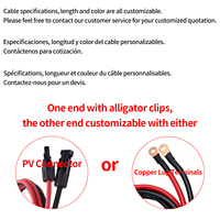 Câble solaire photovoltaïque, fil de connexion pour panneau solaire, connecteur PV vers pinces crocodiles, câble d'extension pour charge de batterie, personnalisable