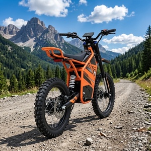 New X50-Trail <b>72V</b> 40Ah <b>Battery</b> 10000W Brushless Power 451Nm High Torque Road Dirt Bike 100km/h Motorcycle LightBeeX Motor HCBK-X - Product Image 6