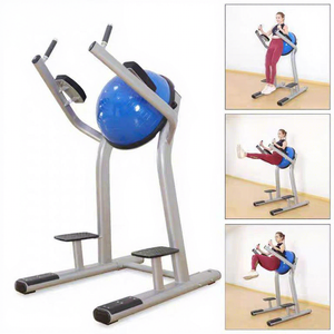 Compact <b>Leg</b> Raise Trainer Abdominal Core Machine Home Studio Commercial Shared Fitness Equipment Wholesale Custom Gear - Product Image 1