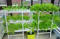 Meerlaags verticaal hydroponisch systeem, 3-laags thuistuinset met pomp en 108 gaten