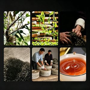 Té Negro Fermentado de Yunnan, Suministro Directo de Fábrica, Bolsitas de Té <span class=keywords><strong>a</strong></span> Granel para Múltiples Infusiones, para Importadores, Compradores, Bares, Mayoristas y Cafeterías - Product Image 5