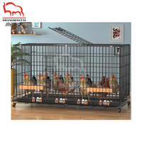 Poulailler Ménager Pondoir à Nettoyage Automatique et Ramassage d'Œufs, Cage d'Élevage Pliante pour Poules