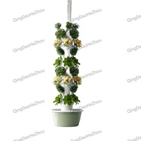 Équipement hydroponique vertical mobile HEZHOU HZ-1, pompe d'arrosage automatique, conception brevetée pour la culture de légumes sur balcon à domicile