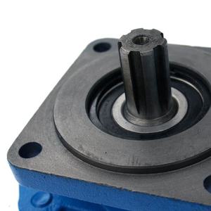 Pompe à engrenages hydraulique P3160 11C0007 Bleue Pièce de rechange OEM pour système hydraulique de chargeuse sur pneus - Product Image 4