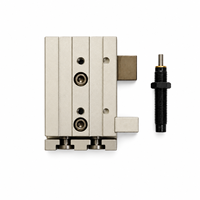 Série HLQ8X20SBS : Cylindre à double rail de guidage, glissière haute précision, faible friction, en alliage d'aluminium, avec capteur à anneau magnétique, prêt pour l'automatisation